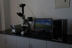 1536735646902014232.png 33.png