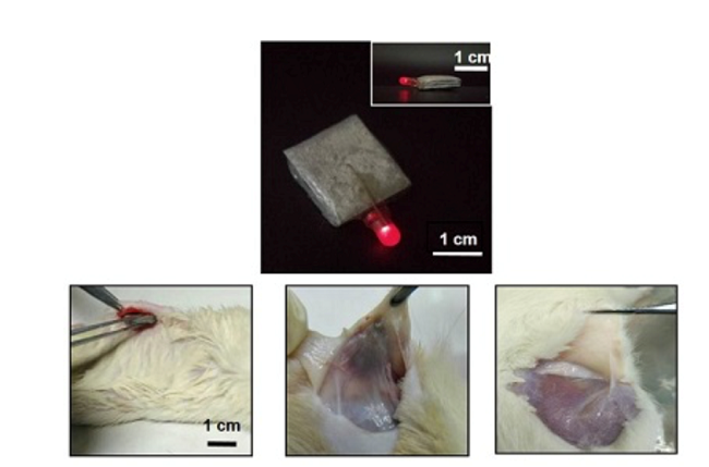 1536291167639034466.jpg yinlan2.jpg